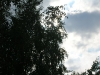 Wakacje 030.jpg