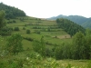 Wakacje 033.jpg