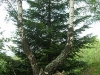 Wakacje 037.jpg