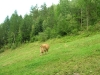Wakacje 045.jpg