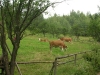 Wakacje 046.jpg