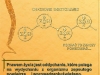 prawo09.jpg