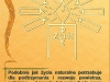 prawo11.jpg