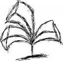 kwiatek2.png