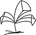 kwiatek5.png