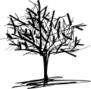 kwiatek6.png