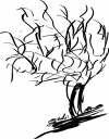 kwiatek8.png