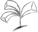 kwiatek9.png