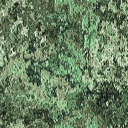 omikron2.png